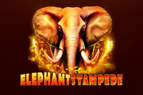 Elephant Stampede Slot 