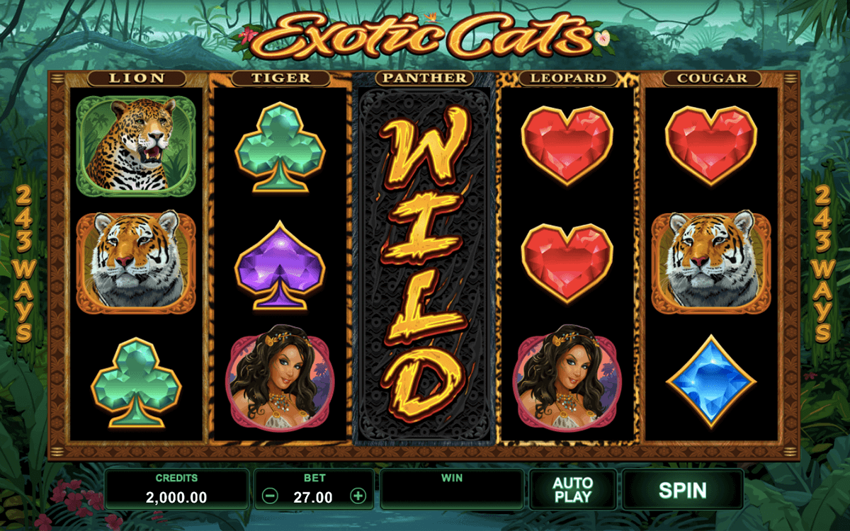 exotic cats microgaming casino slots 