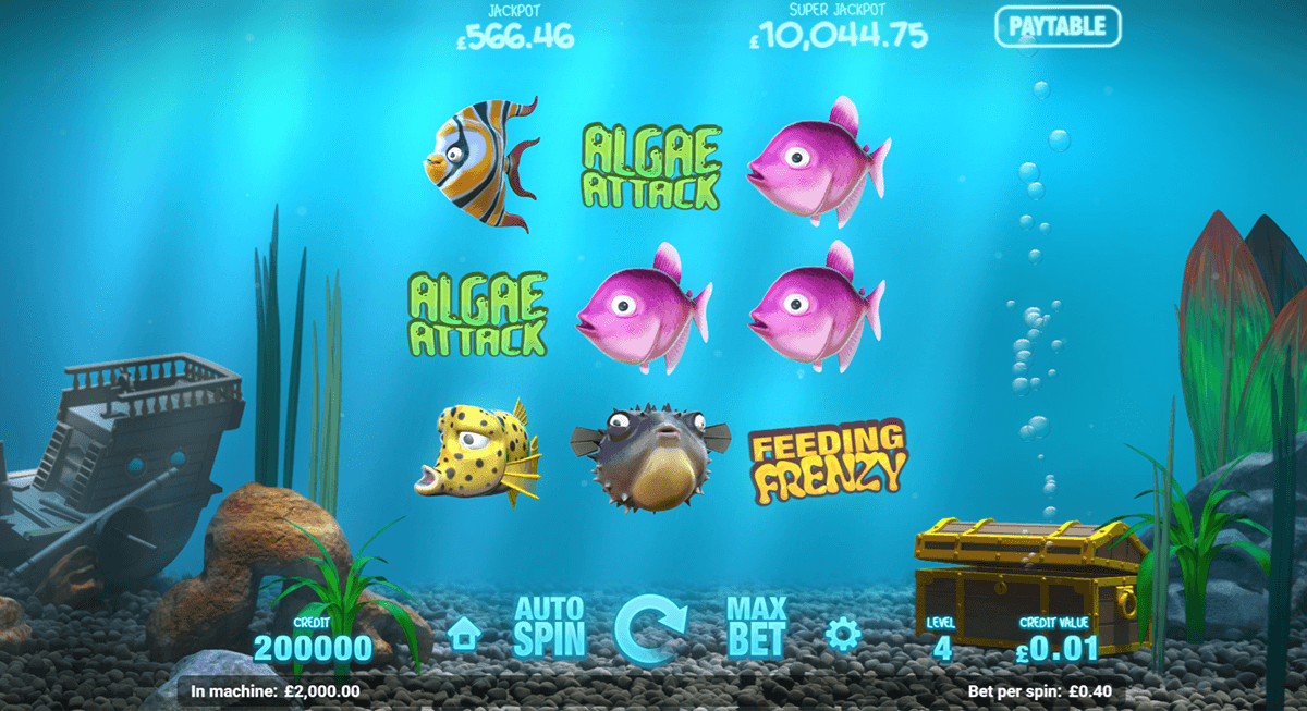 fish tank magnet gaming casino slots 