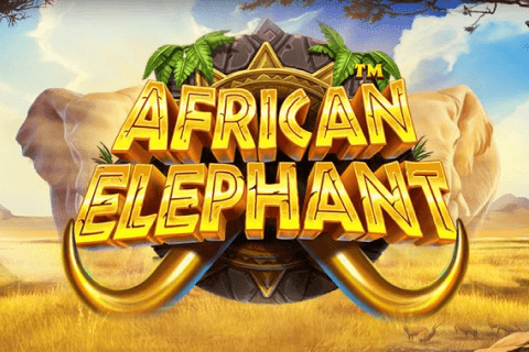 African Elephant Pragmatic Play 