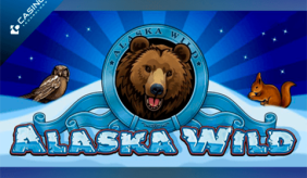 Alaska Wild Casino Technology 