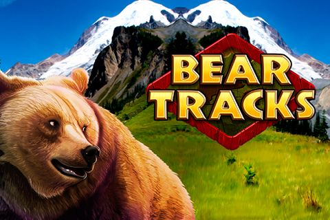 Bear Tracks Novomatic 