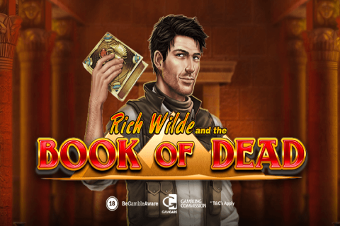 Book Of Dead Playn Go 3 