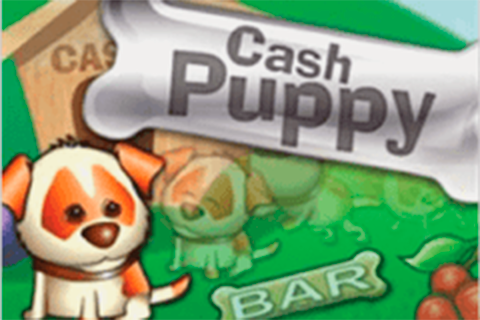 Cash Puppy Saucify 