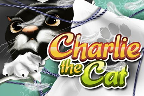 Charlie The Cat Wazdan 2 