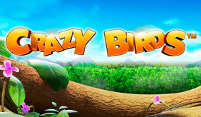 Crazy Birds Novomatic Slot Game 