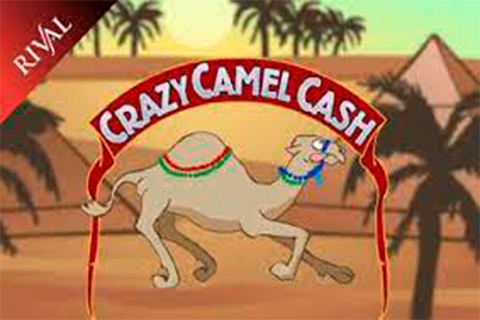 Crazy Camel Cash Rival 3 