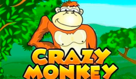 Crazy Monkey Igrosoft 
