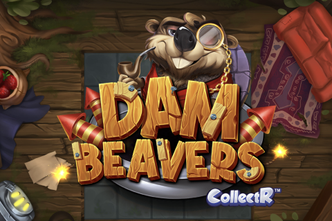 Dam Beavers Elk Studio 1 
