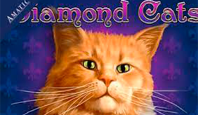 Diamond Cats Amatic 