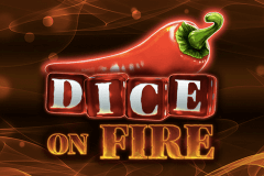 Dice On Fire Stake Logic Slot Game 