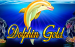 Dolphin Gold Lightning Box 