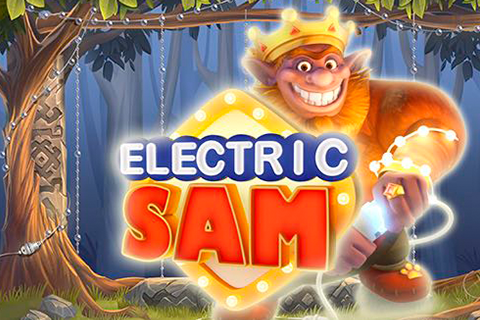 Electric Sam Elk 