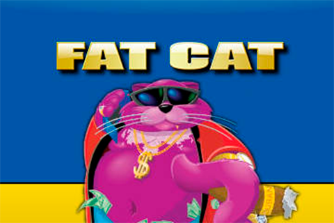 Fat Cat Amaya 
