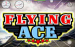 Flying Ace Microgaming 