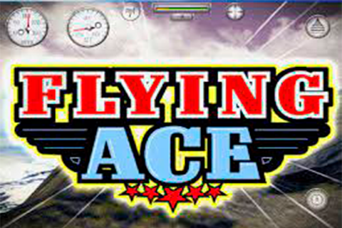 Flying Ace Microgaming 