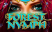 Forest Nymph Casino Technology 