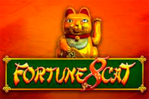 Fortune 8 Cat Lightning Box 