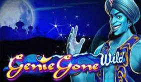 Genie Gone Wild Igtech 