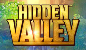 Hidden Valley Quickspin 