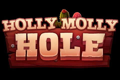 Holly Molly Hole Spinmatic 