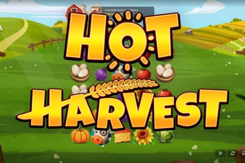 Hot Harvest Octoplay 1 