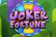 Joker Fortune Stake Logic Slot Game 