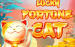 Lucky Fortune Cat Red Tiger 6 
