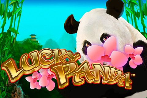Lucky Panda Playtech 