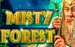 Misty Forest Casino Technology 1 