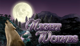 Night Wolves Bally Wulff 