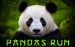 Pandas Run Tom Horn 1 
