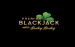 Premier Blackjack With Lucky Lucky Switch Studios 2 