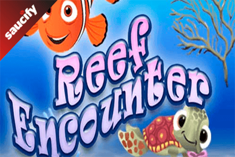Reef Encounter Saucify 