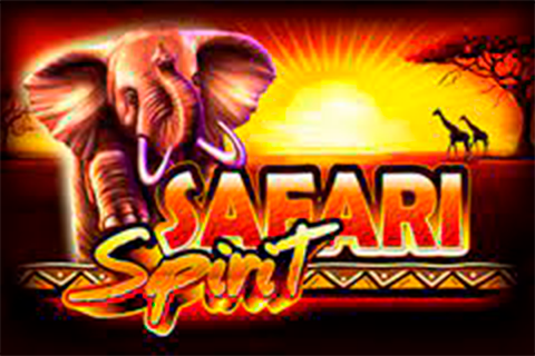 Safari Spirit Ainsworth 1 