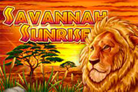Savannah Sunrise Amaya 