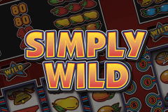Simply Wild Stake Logic Slot Game 