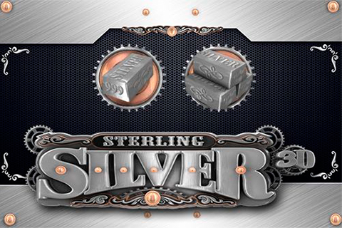 Sterling Silver 3d Microgaming 3 