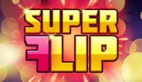Super Flip Playn Go 