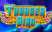 Thunder Bird Gameart 