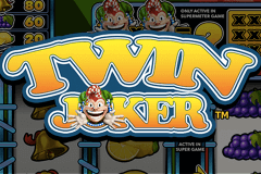 Twin Joker Stake Logic Slot Game 