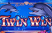 Twin Win High5 Slot Game 