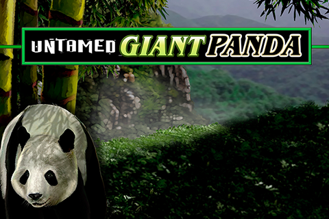 Untamed Giant Panda Microgaming 1 