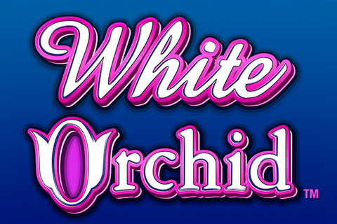 White Orchid Igt 1 