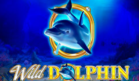 Wild Dolphin Gameart 