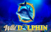 Wild Dolphin Gameart 