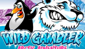 Wild Gambler Arctic Adventure Playtech 1 