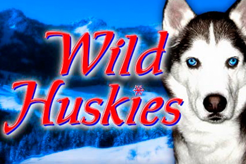 Wild Huskies Bally 