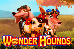 Wonder Hounds Nextgen Gaming Slot Game 