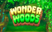 Wonder Woods Just For The Win 1 